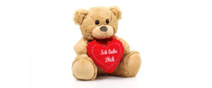 Teddy Bear